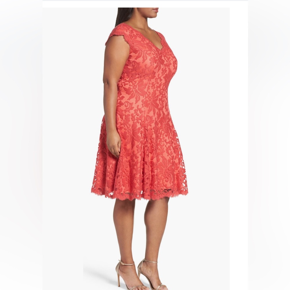 Tadashi Shoji embroidered fit and flare plus size dress in cantaloupe size 22W